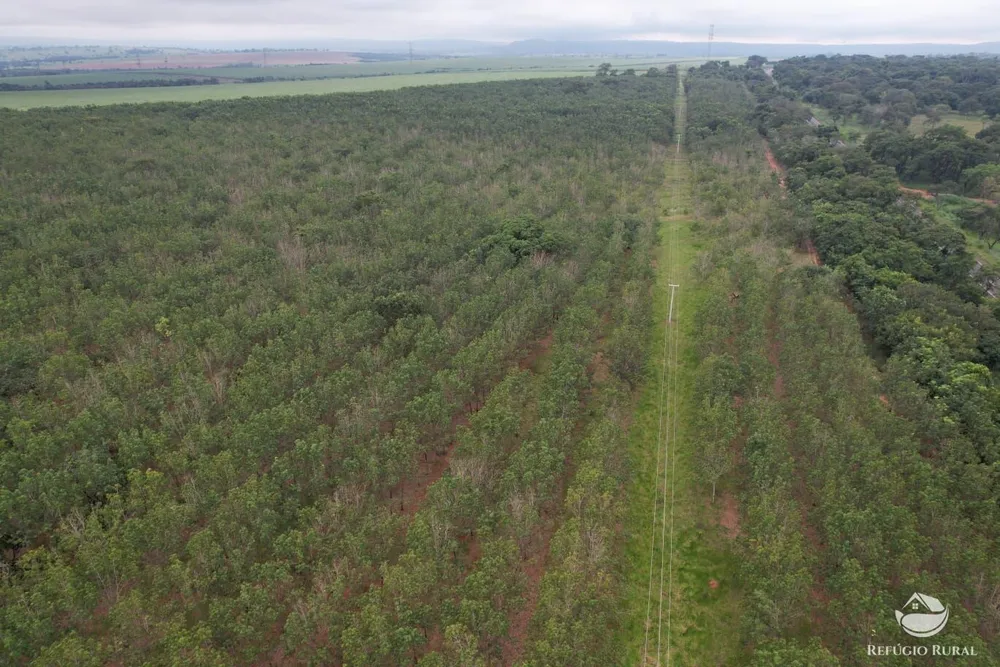 Fazenda, 46 hectares - Foto 3