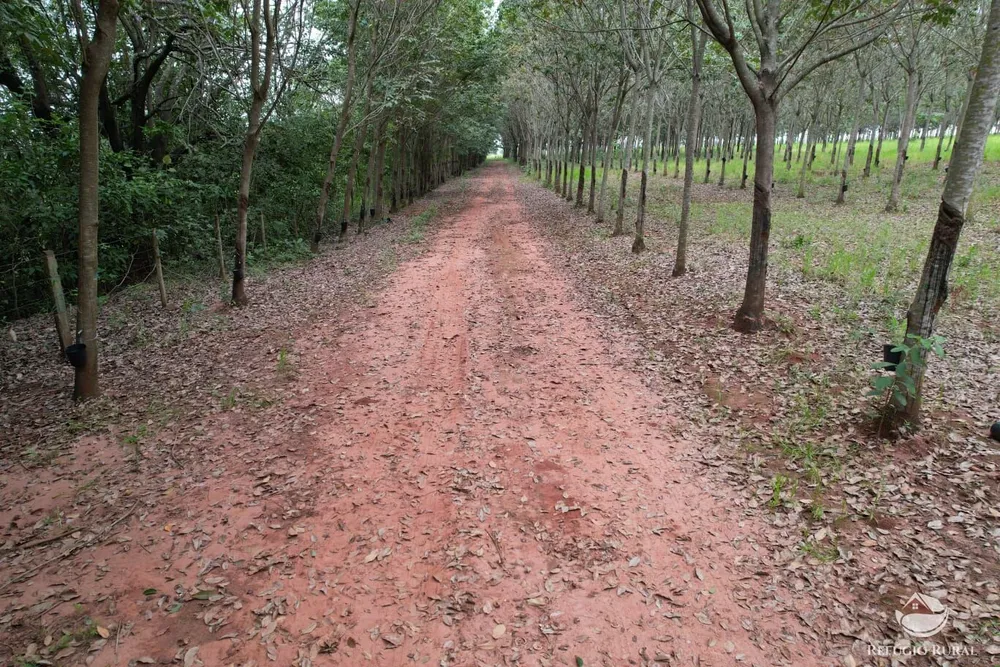 Fazenda, 46 hectares - Foto 4
