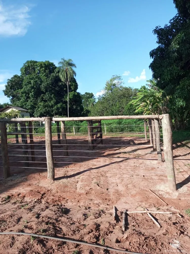 Fazenda, 46 hectares - Foto 15