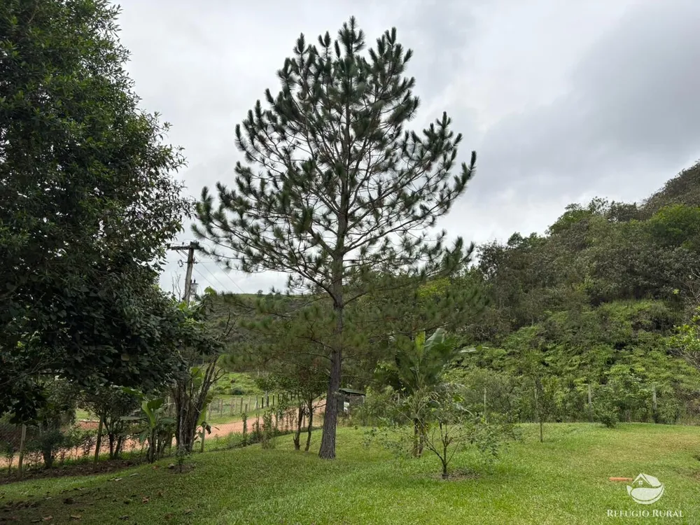 Chácara, 2 hectares - Foto 12
