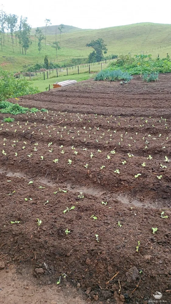 Fazenda, 774 hectares - Foto 1