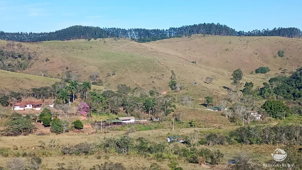 Fazenda, 774 hectares - Foto 1