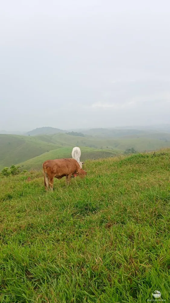 Fazenda, 774 hectares - Foto 3