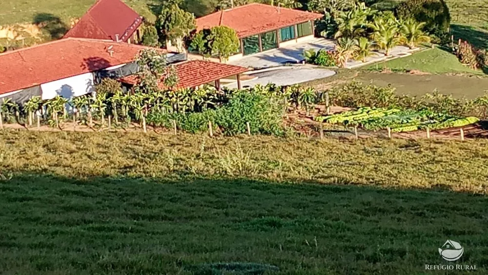 Fazenda, 774 hectares - Foto 4
