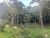 Sítio, 4 quartos, 3 hectares - Foto 24