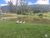 Sítio, 4 quartos, 3 hectares - Foto 16