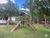Sítio, 4 quartos, 3 hectares - Foto 10