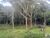 Sítio, 4 quartos, 3 hectares - Foto 25
