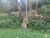 Sítio, 4 quartos, 3 hectares - Foto 15
