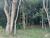 Sítio, 4 quartos, 3 hectares - Foto 17