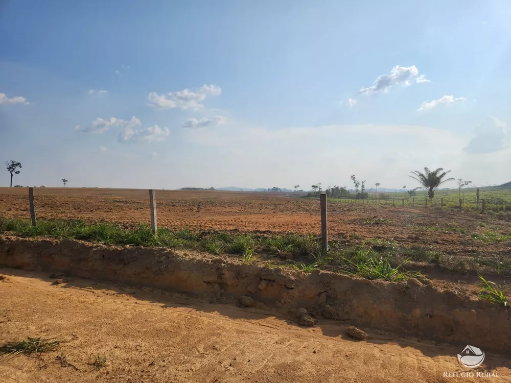 Fazenda, 1132 hectares - Foto 5