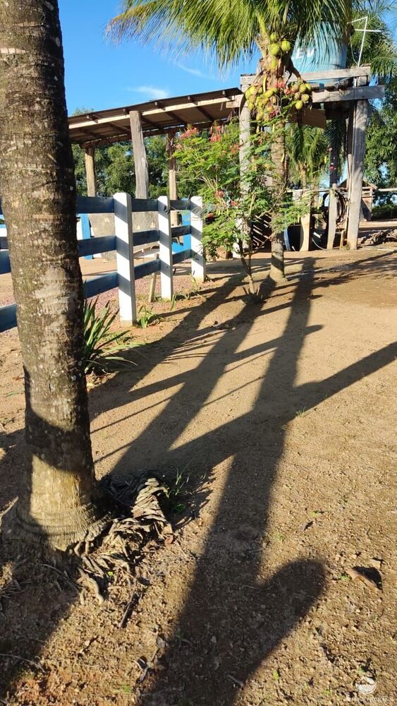 Fazenda à venda com 1 quarto, 11320000m² - Foto 4