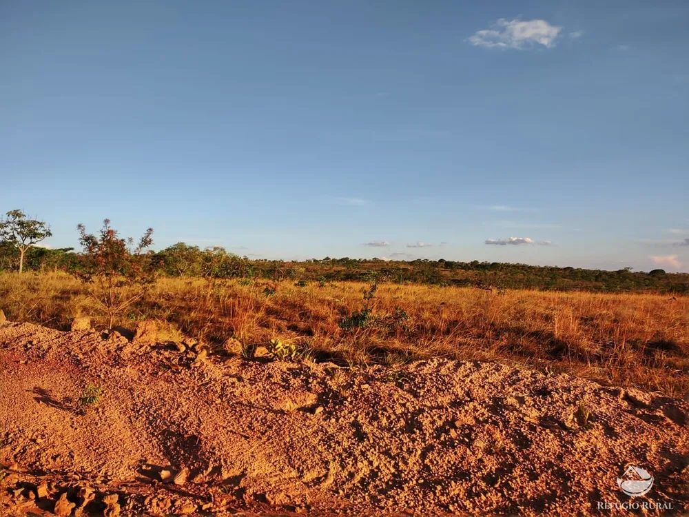 Fazenda, 1046 hectares - Foto 10