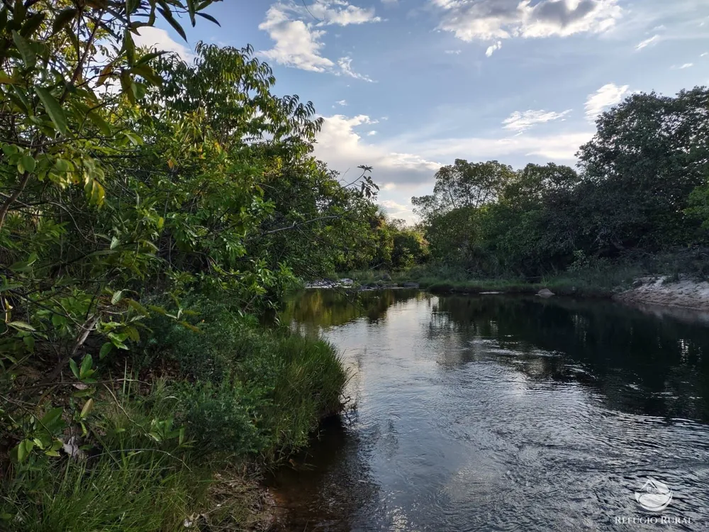 Fazenda, 1046 hectares - Foto 4
