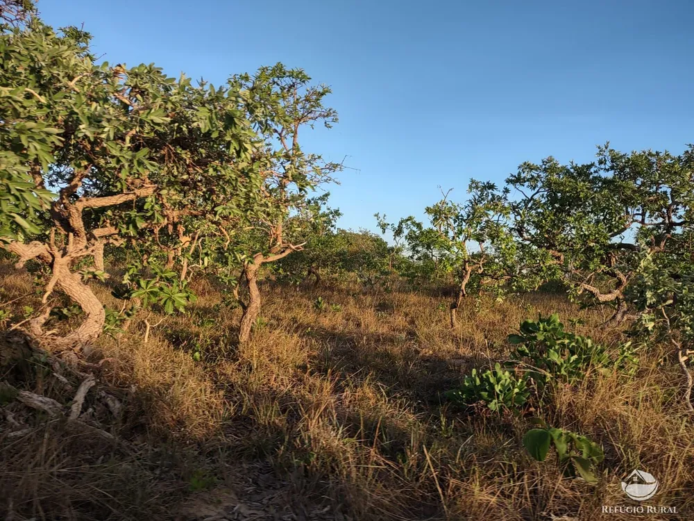 Fazenda, 1046 hectares - Foto 6