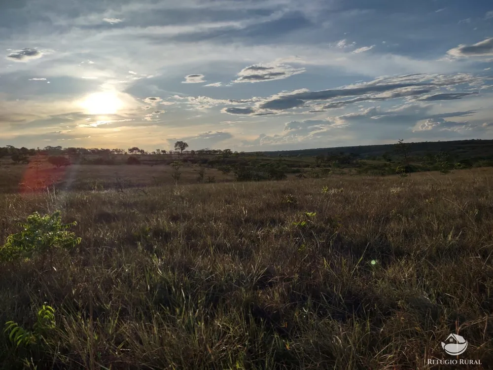 Fazenda, 1046 hectares - Foto 3