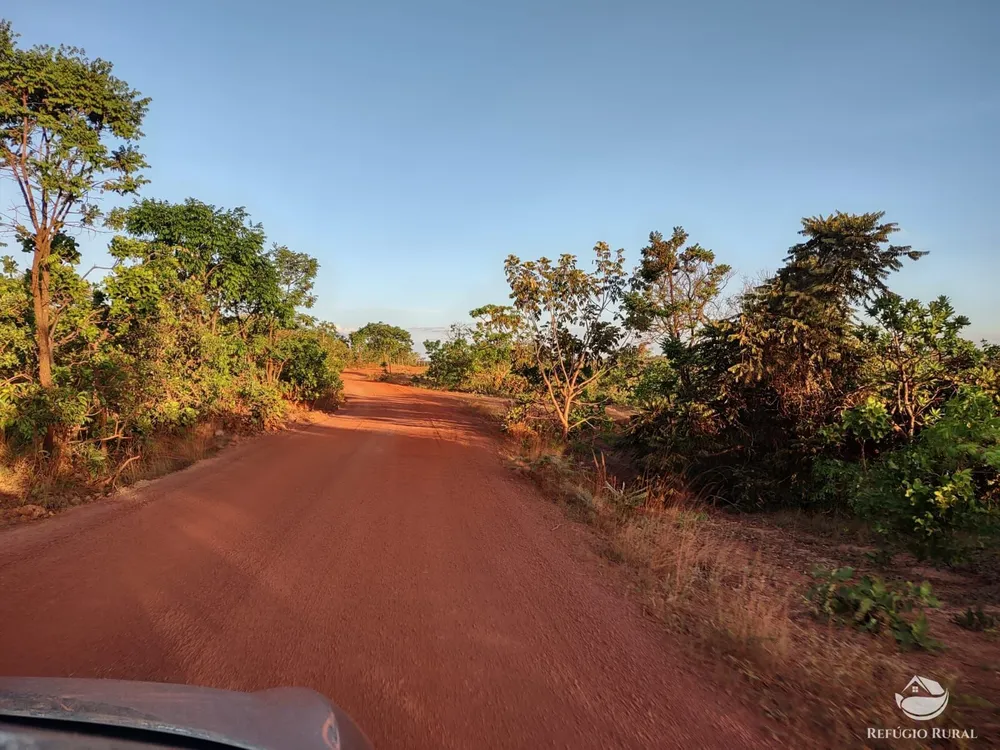 Fazenda, 1046 hectares - Foto 8
