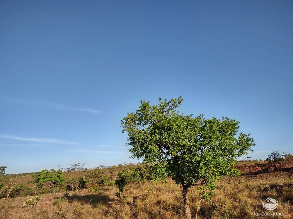 Fazenda, 1046 hectares - Foto 12