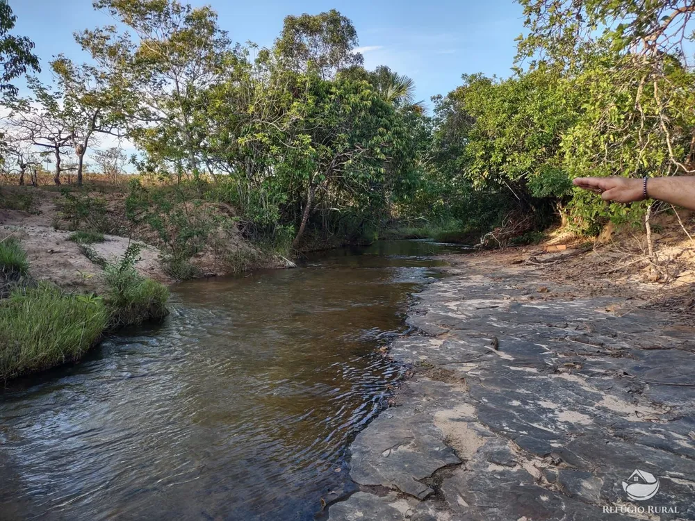 Fazenda, 1046 hectares - Foto 1