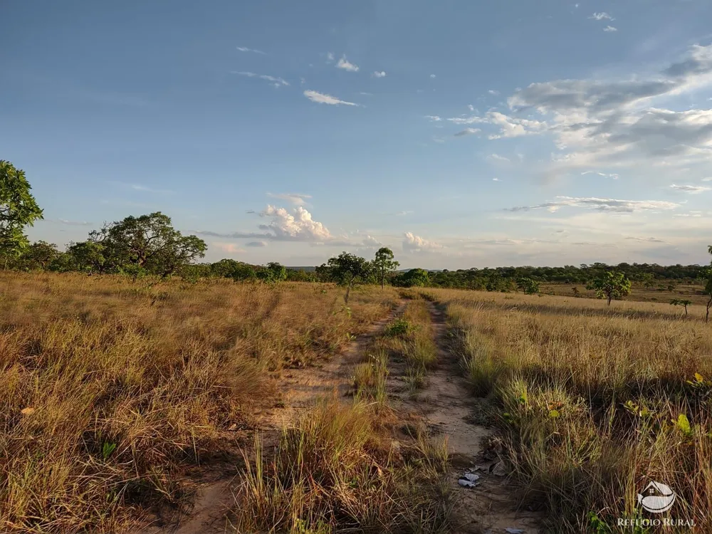 Fazenda, 1046 hectares - Foto 2
