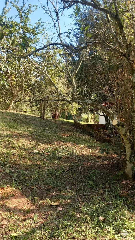 Chácara, 2 hectares - Foto 2