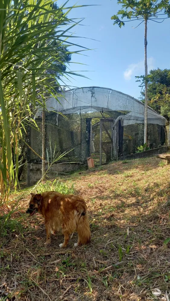 Chácara, 2 hectares - Foto 10