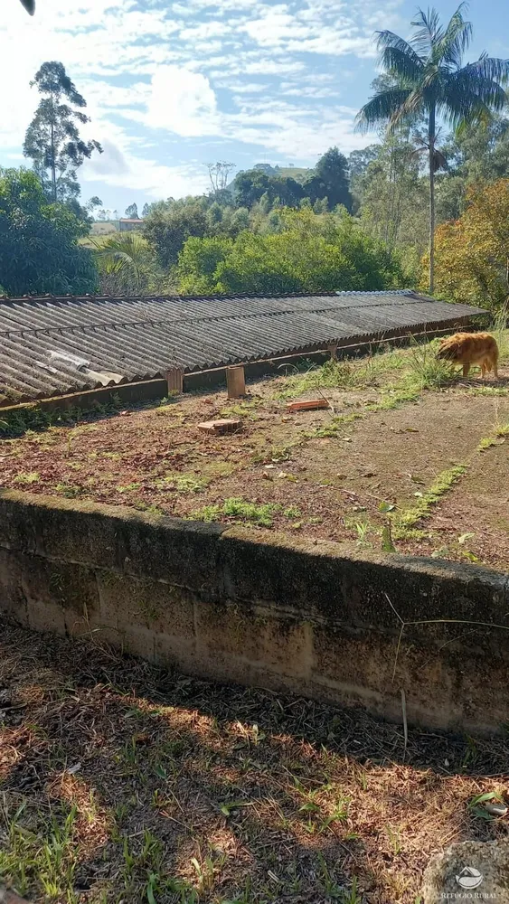 Chácara, 2 hectares - Foto 7
