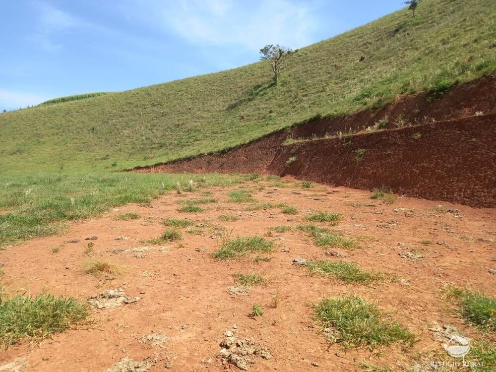 Terreno, 2 hectares - Foto 9