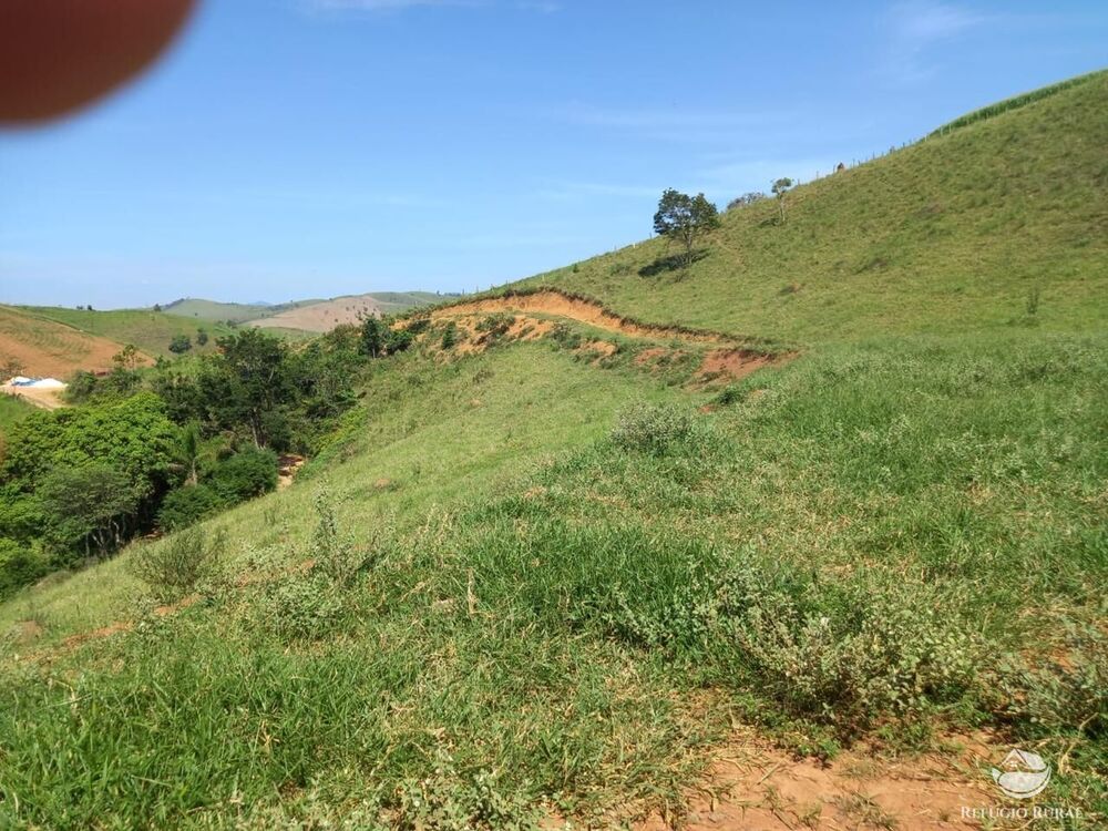 Terreno, 2 hectares - Foto 4