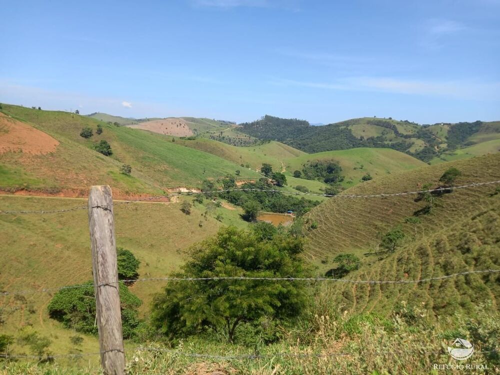 Terreno, 2 hectares - Foto 6