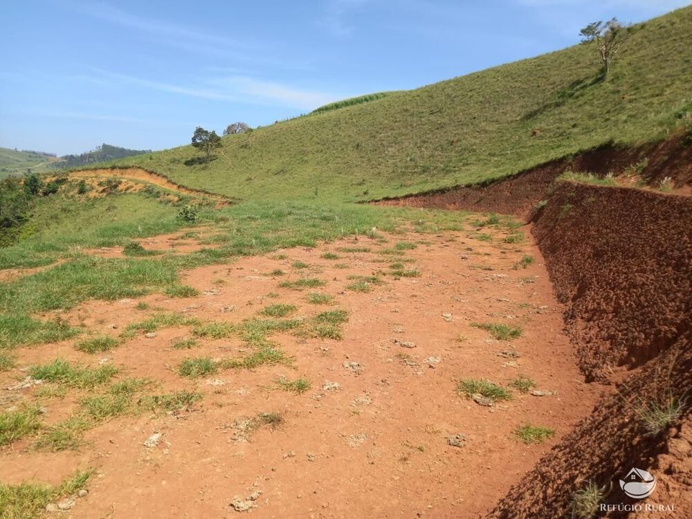 Terreno, 2 hectares - Foto 8