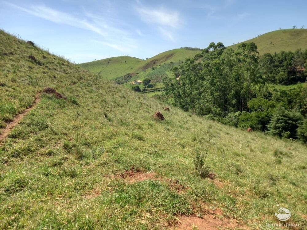 Terreno, 2 hectares - Foto 7