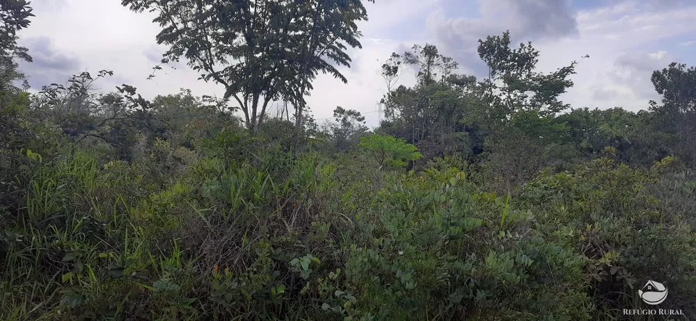 Fazenda, 170 hectares - Foto 7