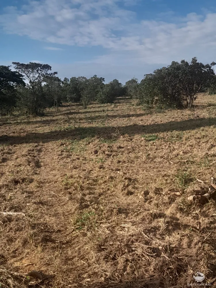 Fazenda, 170 hectares - Foto 11