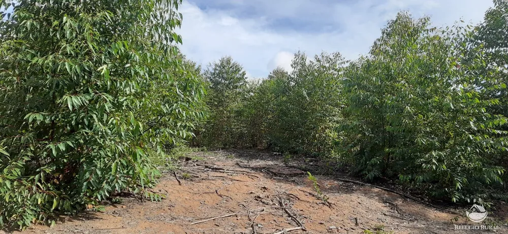 Fazenda, 170 hectares - Foto 9