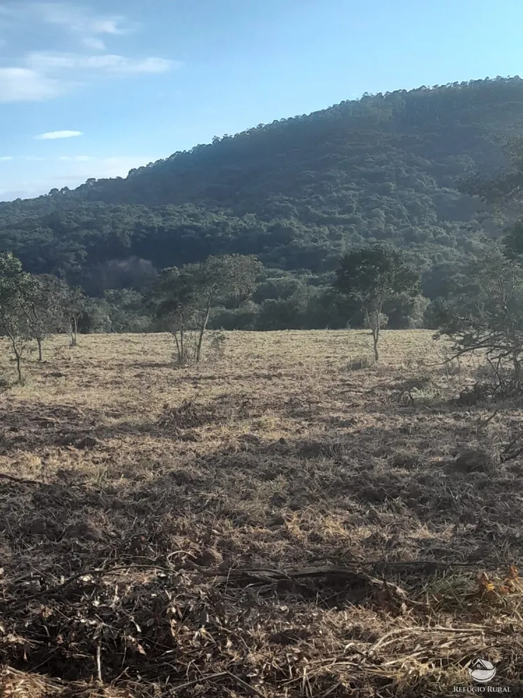 Fazenda, 170 hectares - Foto 3