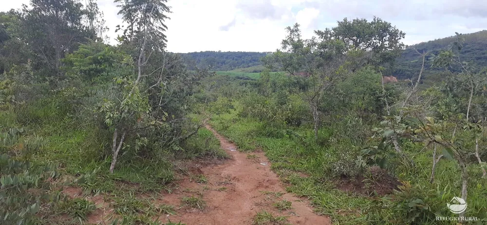 Fazenda, 170 hectares - Foto 8
