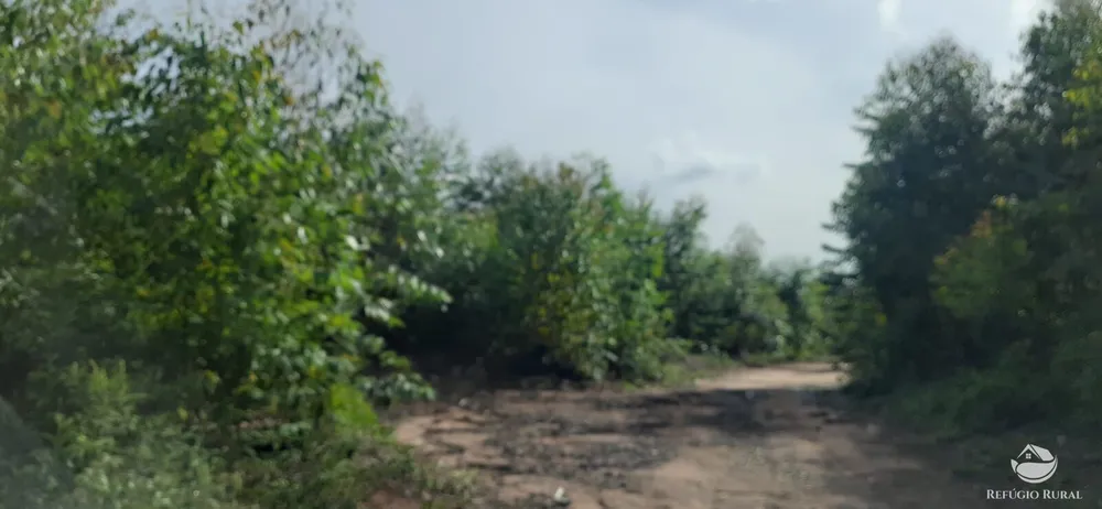 Fazenda, 170 hectares - Foto 12