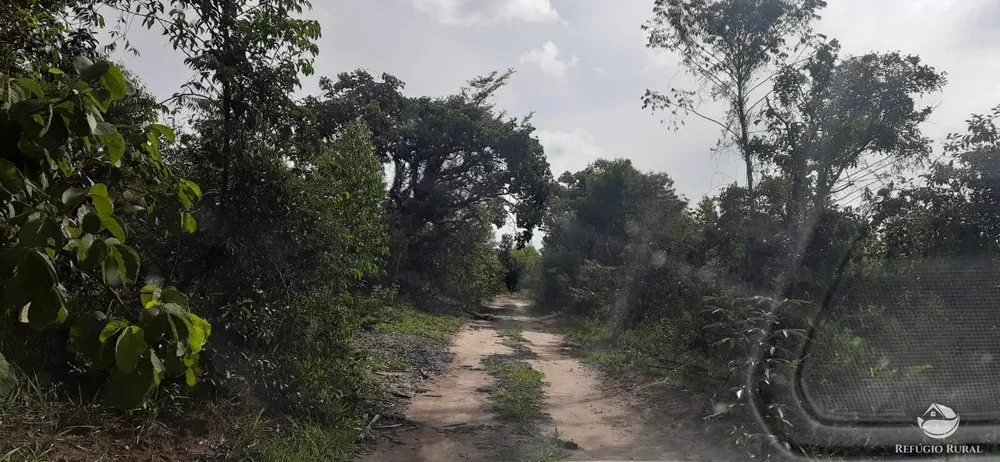 Fazenda, 170 hectares - Foto 10
