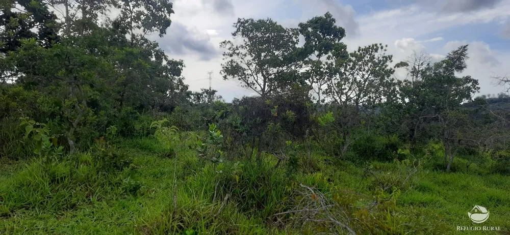 Fazenda, 170 hectares - Foto 6