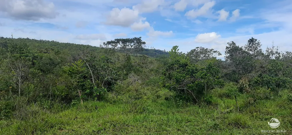 Fazenda, 170 hectares - Foto 2
