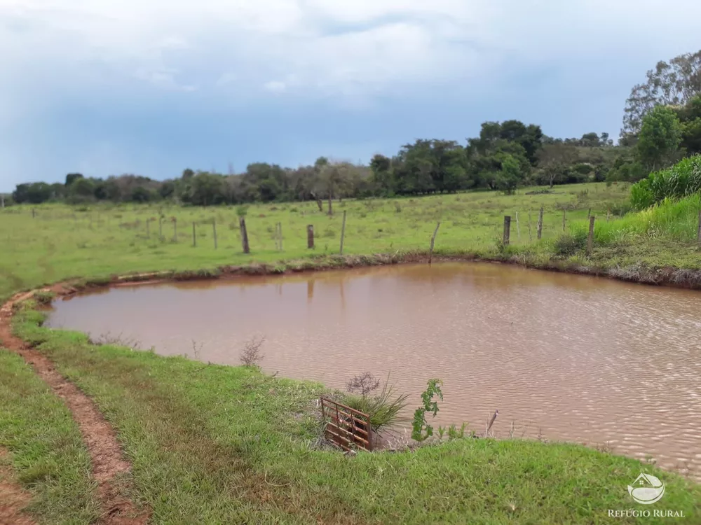 Chácara, 15 hectares - Foto 3