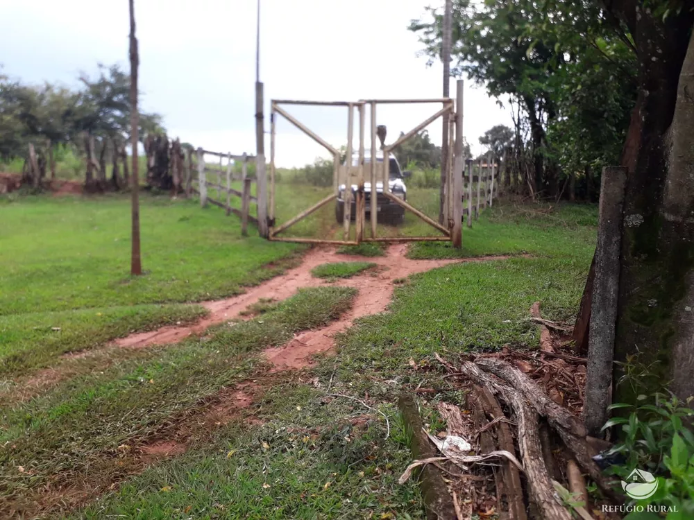 Chácara, 15 hectares - Foto 1