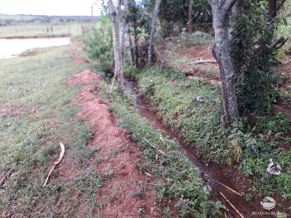 Chácara, 15 hectares - Foto 8