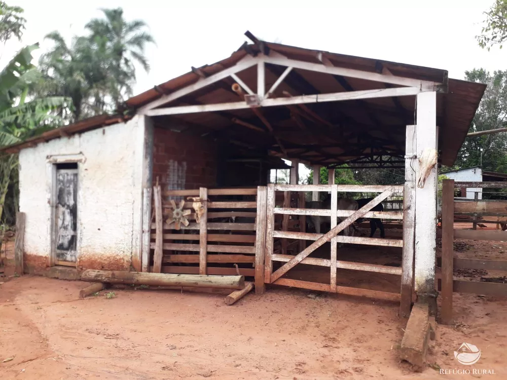Chácara, 15 hectares - Foto 2