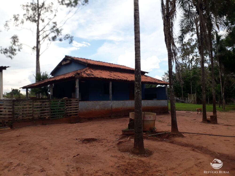 Chácara, 15 hectares - Foto 6