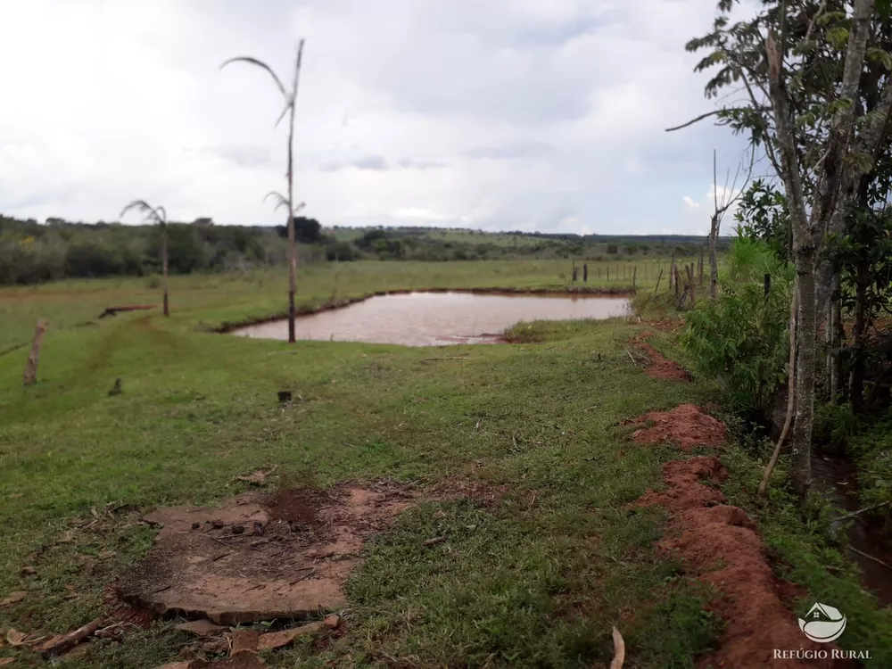 Chácara, 15 hectares - Foto 4
