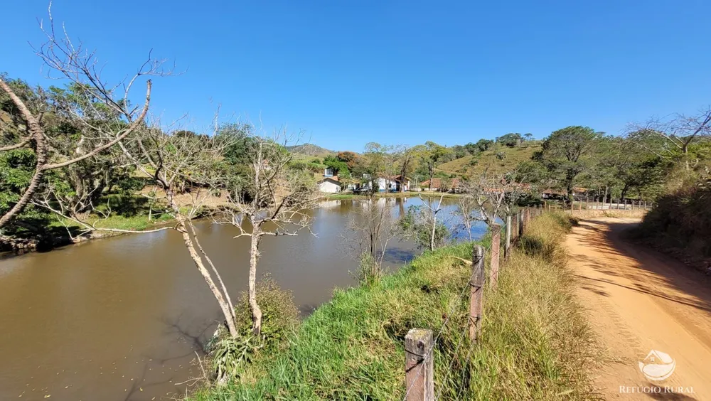 Fazenda, 324 hectares - Foto 14