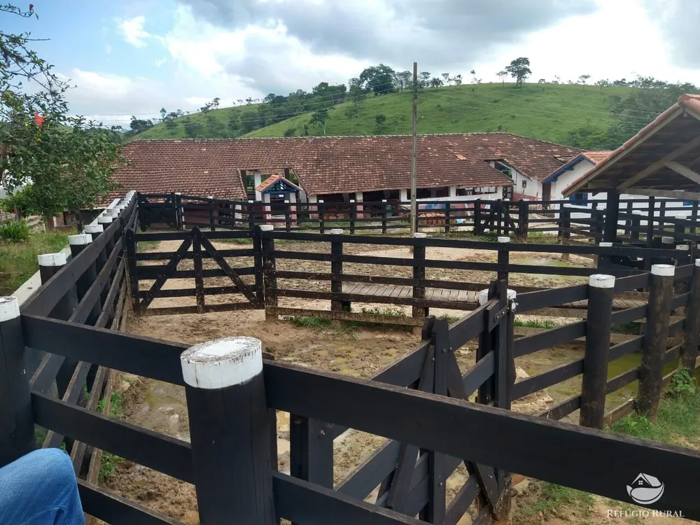 Fazenda, 324 hectares - Foto 7
