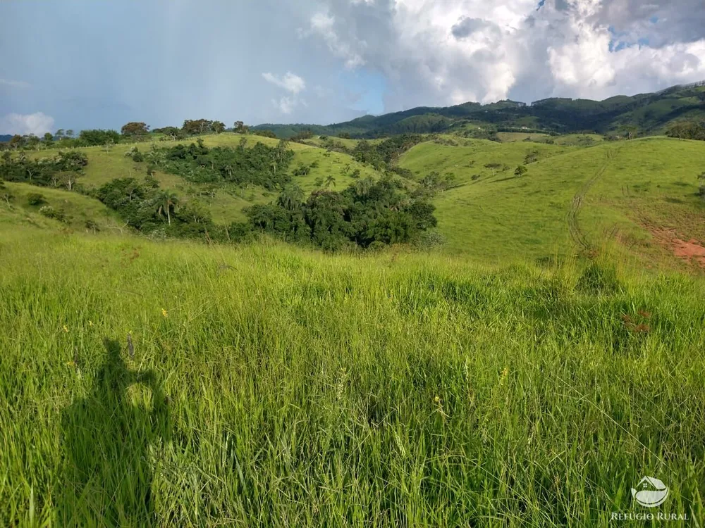 Fazenda, 324 hectares - Foto 6